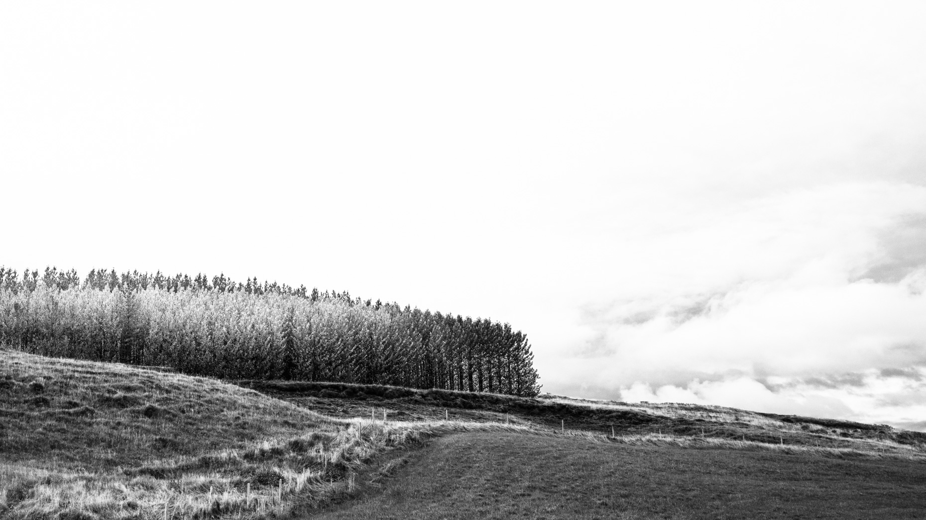 2019iceland-140